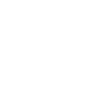 04 最高品質の塗料